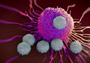 T-Zellen attackieren Tumor bei einer Immuntherapie